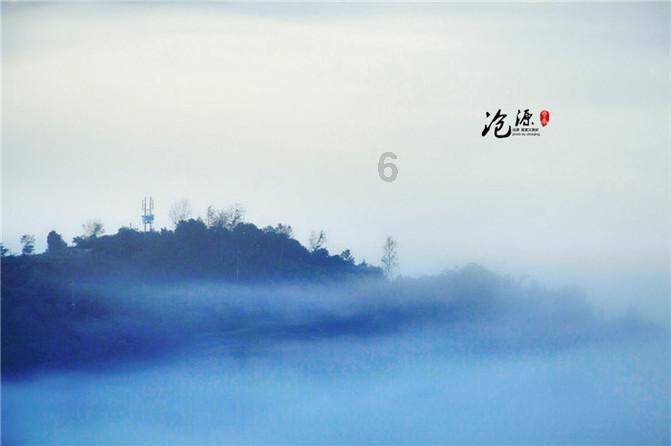 美丽中国厦门实践 | “海上大熊猫”中华白海豚逐浪嬉戏厦门湾（人民网）